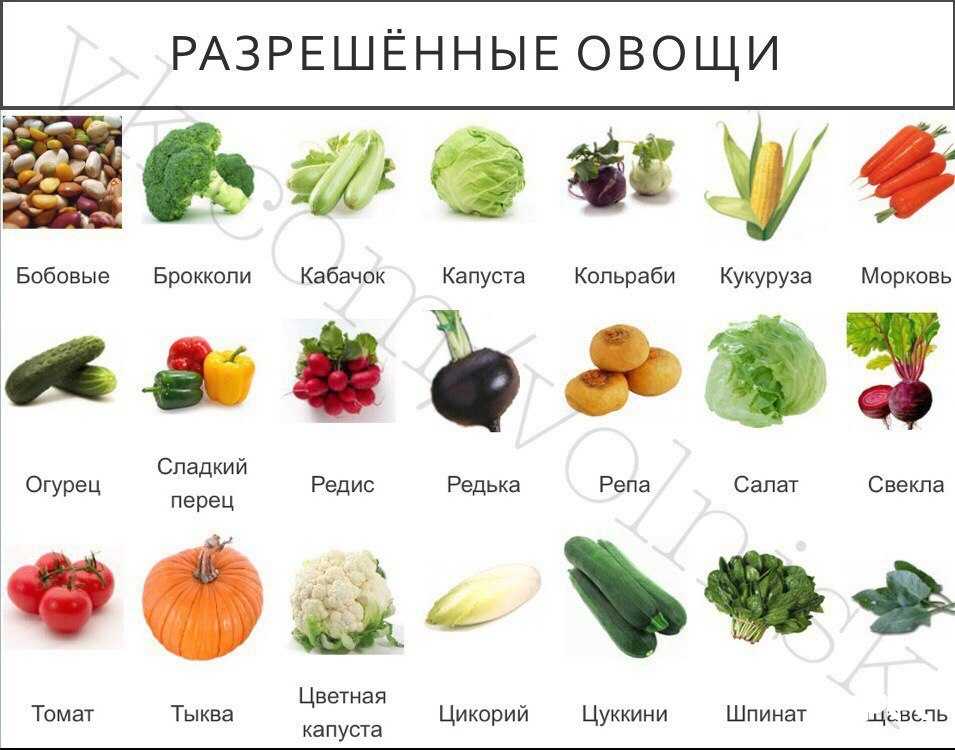Можно ли давать собаке острую пищу? | hill's pet
