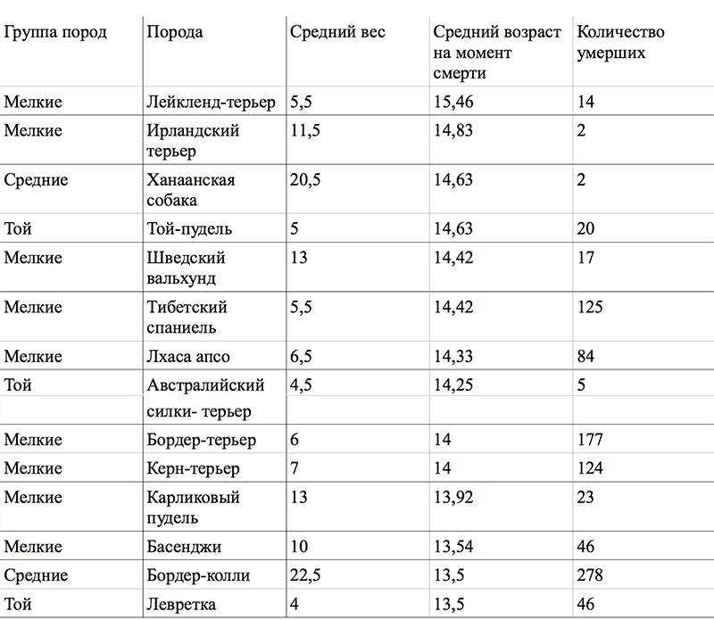 Той пудель: минусы породы, о которых должен знать владелец. особенности содержания животного и его здоровье, как правильно выбрать щенка при покупке