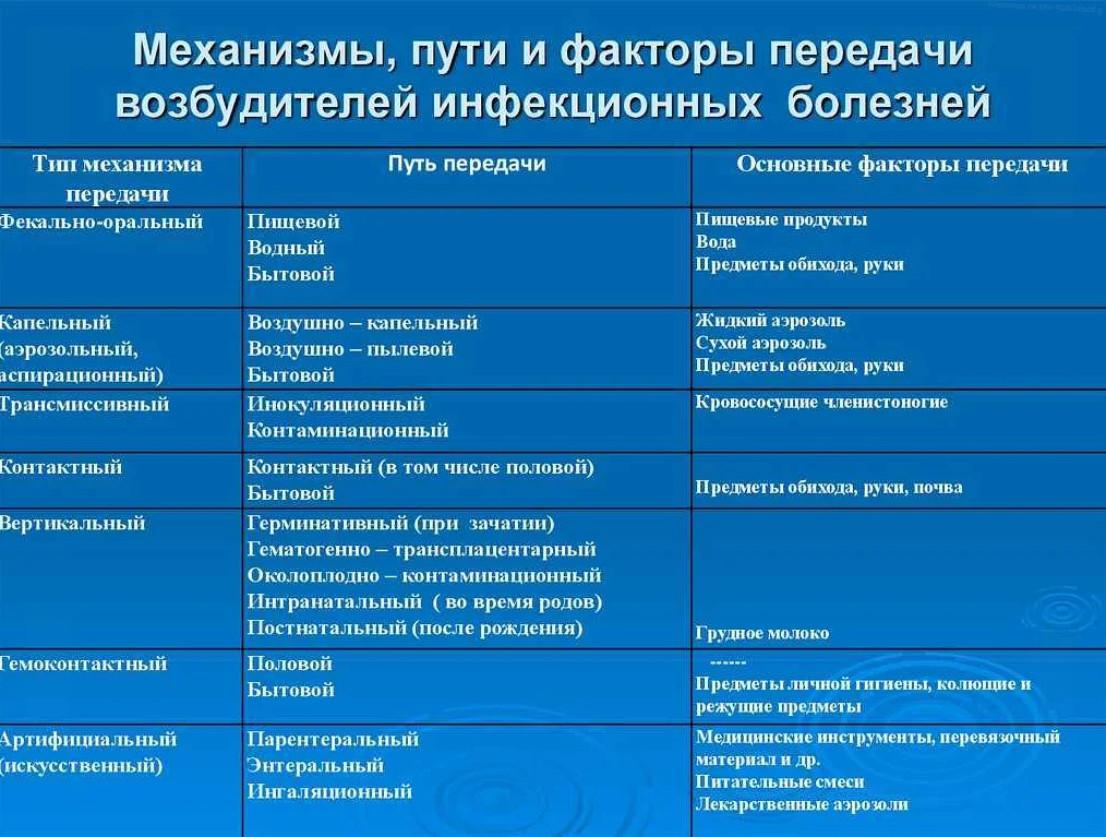 Пиодермия у собак: симптомы, лечение в домашних условиях, применяемые антибиотики, виды и степени заболевания