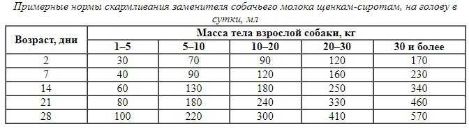 Чем кормить щенка