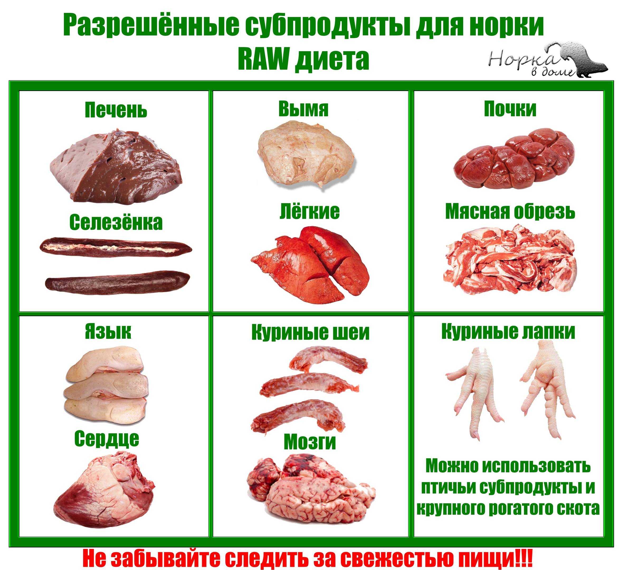 Мясо для собак — выбор, польза и вред разных видов