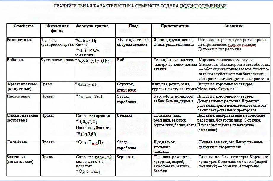 Что относится к травянистым растениям: примеры видов