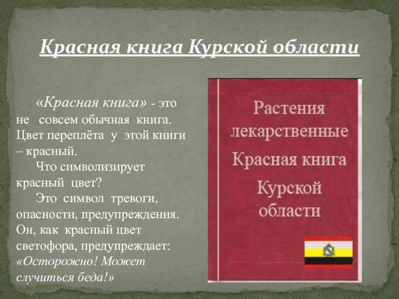 Животный мир курской области: кто здесь обитает?
