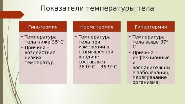Краткая инструкция, что делать, если у кота повышена температура