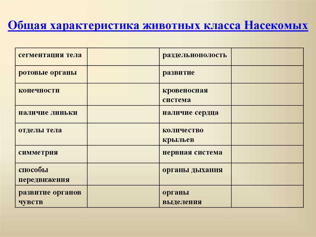 Признаки насекомых – основные главные отличительные кратко для доклада на тему (2-3 класс, окружающий мир) 