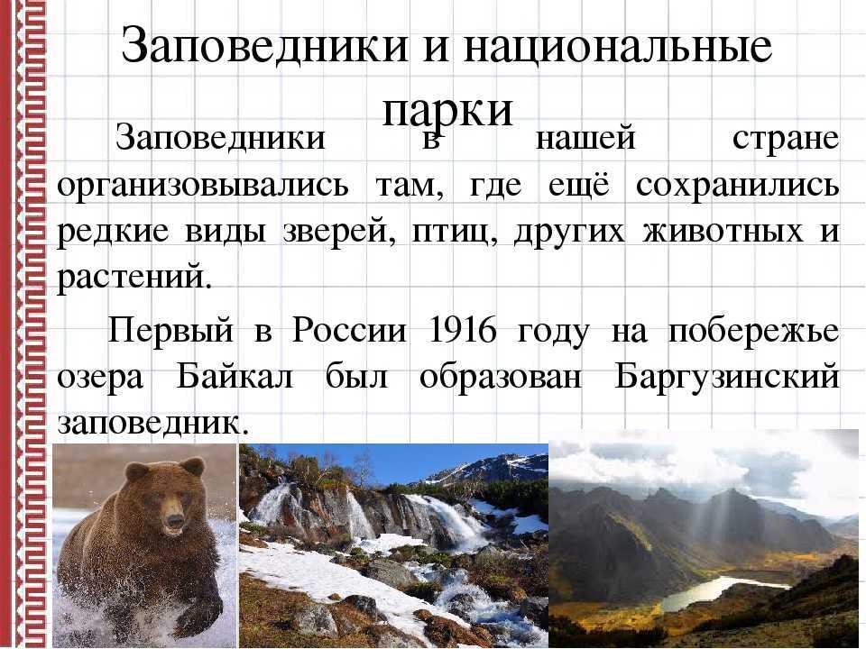 Гайд по заповедникам россии: европейская часть и кавказ | блог турклуба пик