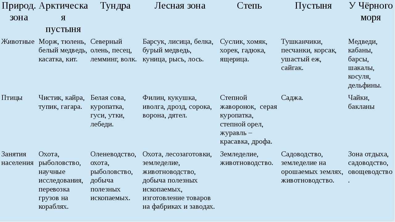 Описание типичных животных пустыни россии