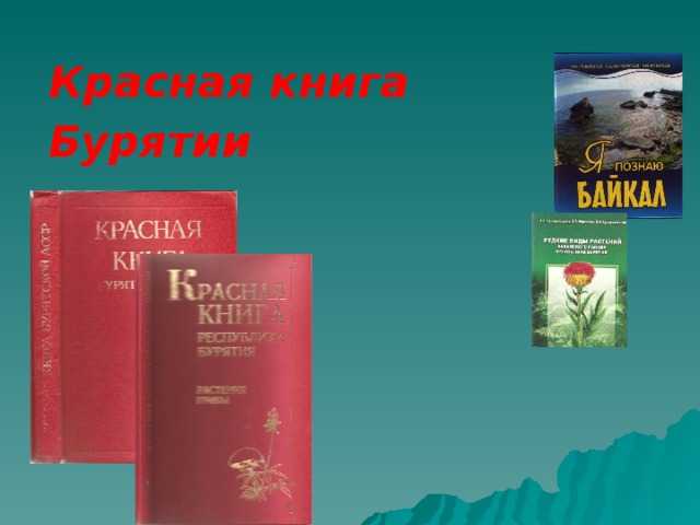 Проект «разнообразие природы республика бурятия» 3 класс