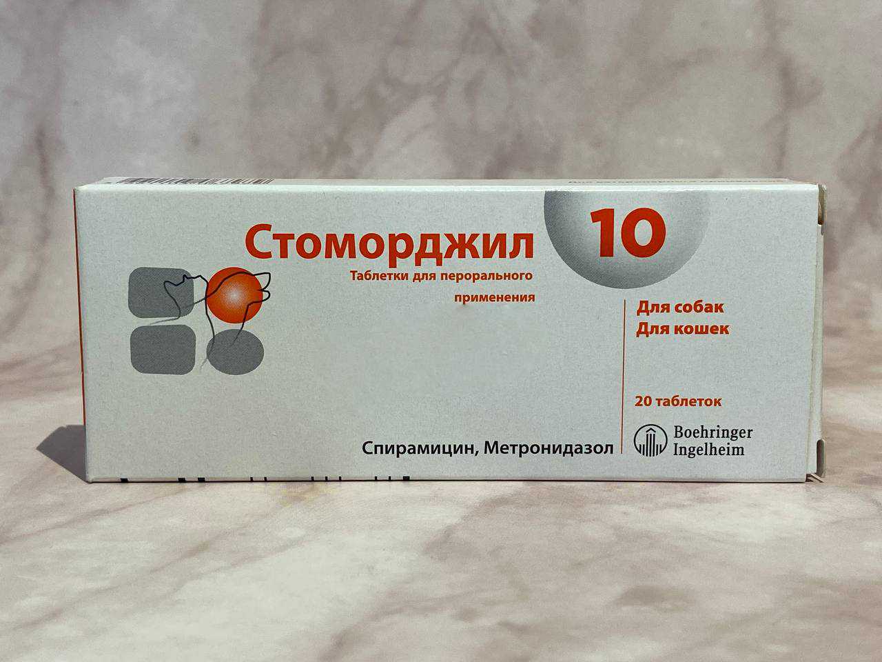Антибиотики для собак: какой можно давать, список, в таблетках, уколы, собака после антибиотиков