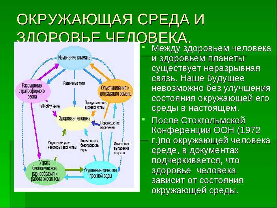 Экология человека и ее значение для гармонизации отношений человечества и окружающей среды