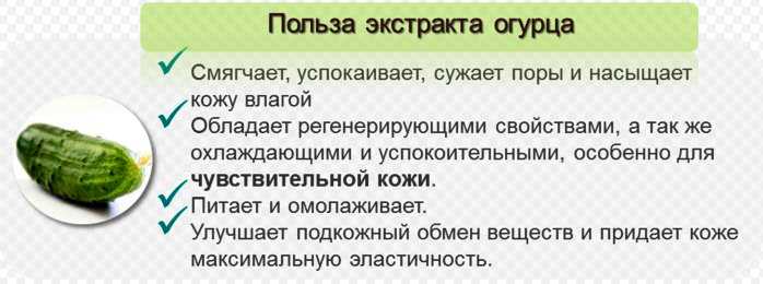 Какие овощи можно собакам и какие давать нельзя