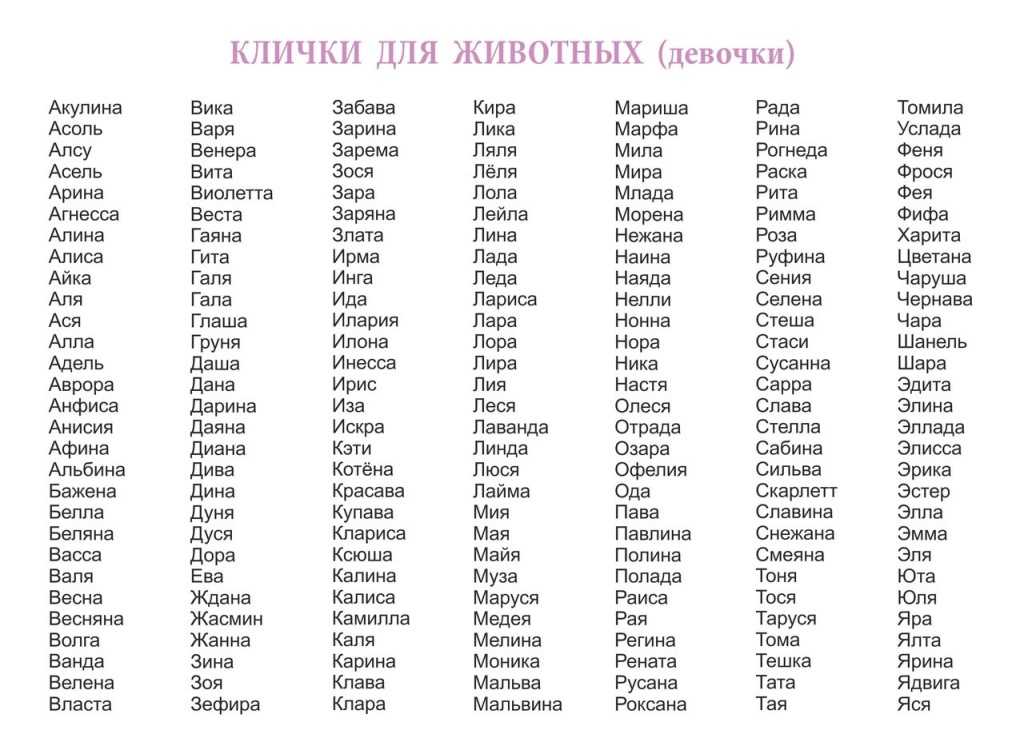 Унисекс имена для кошек