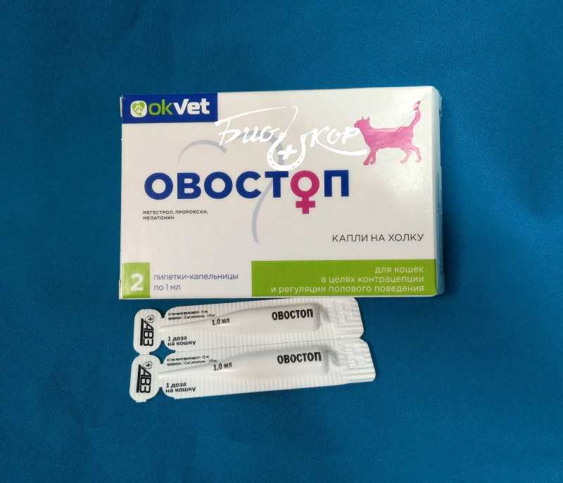 Депо-провера для кошек: дозировка, укол от гуляния