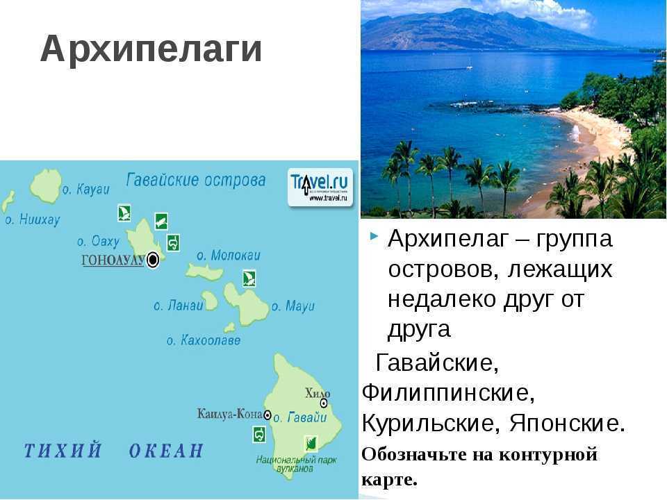Тихий океан - общие характеристики и особенности органического мира