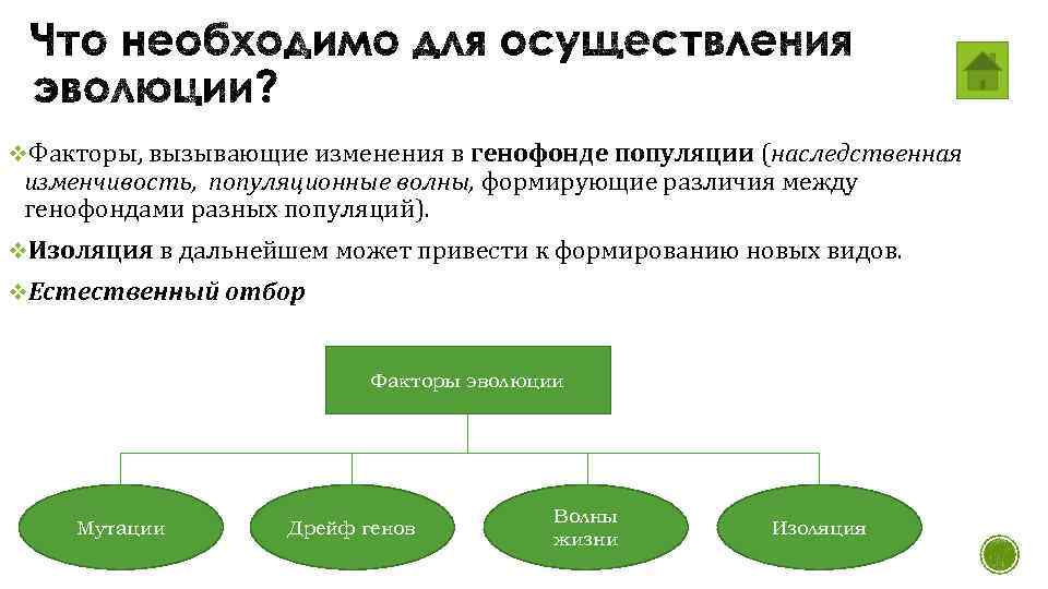 Изменения генофонда популяций презентация, доклад