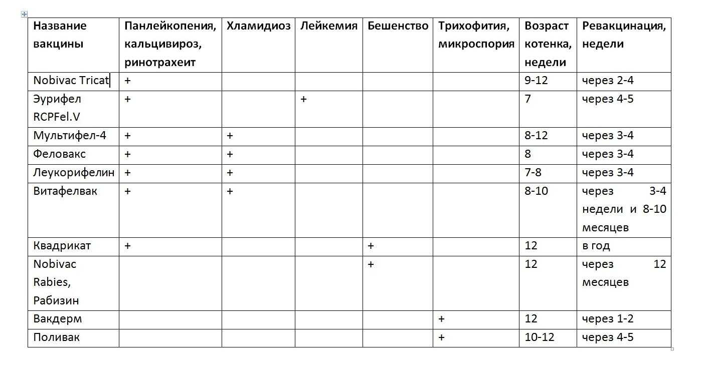 Обязательно ли глистогонить кошку перед прививками
