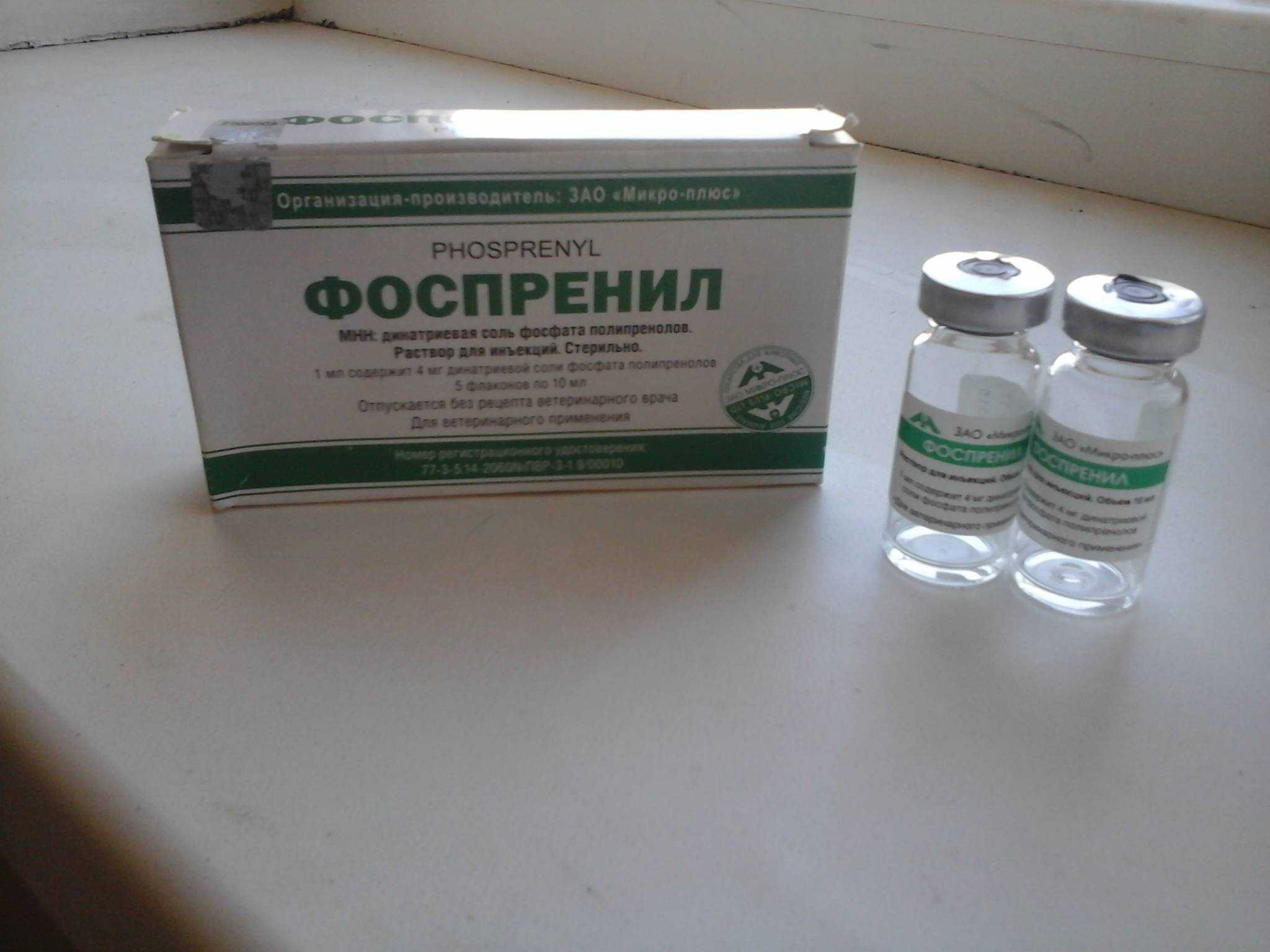 Фоспренил для кошек и собак: инструкция по применению