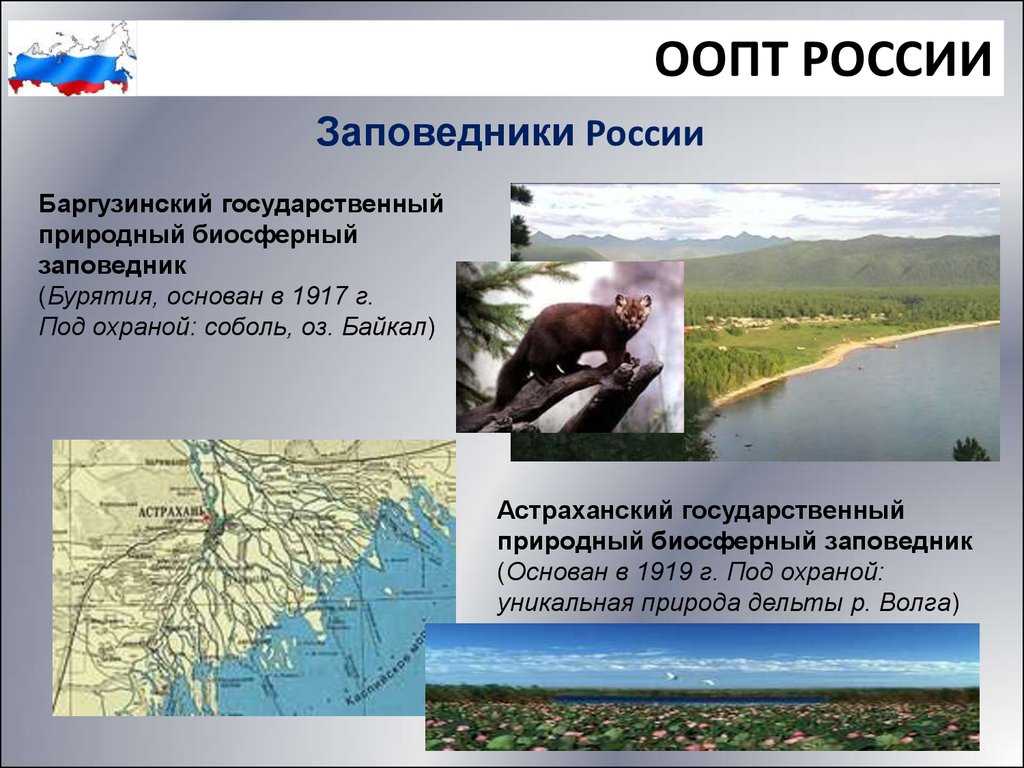 Охрана растений