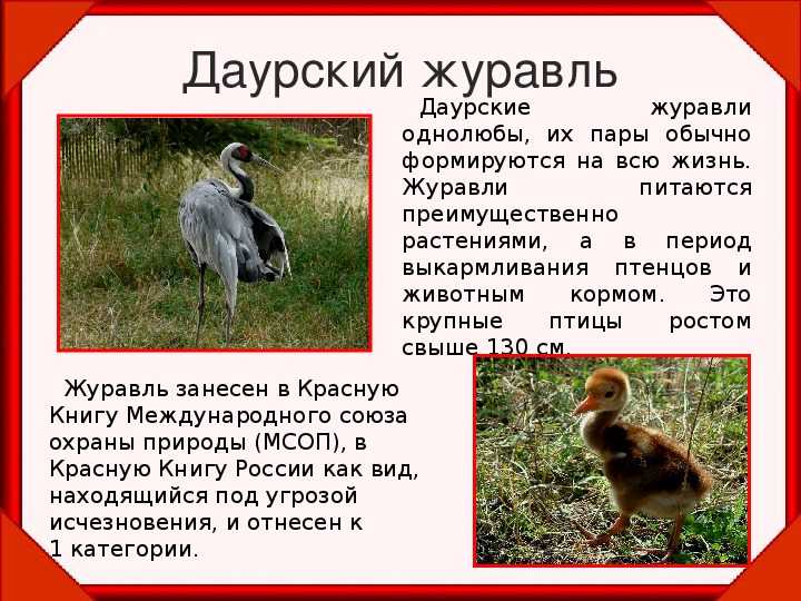 Забайкалье
великолепно