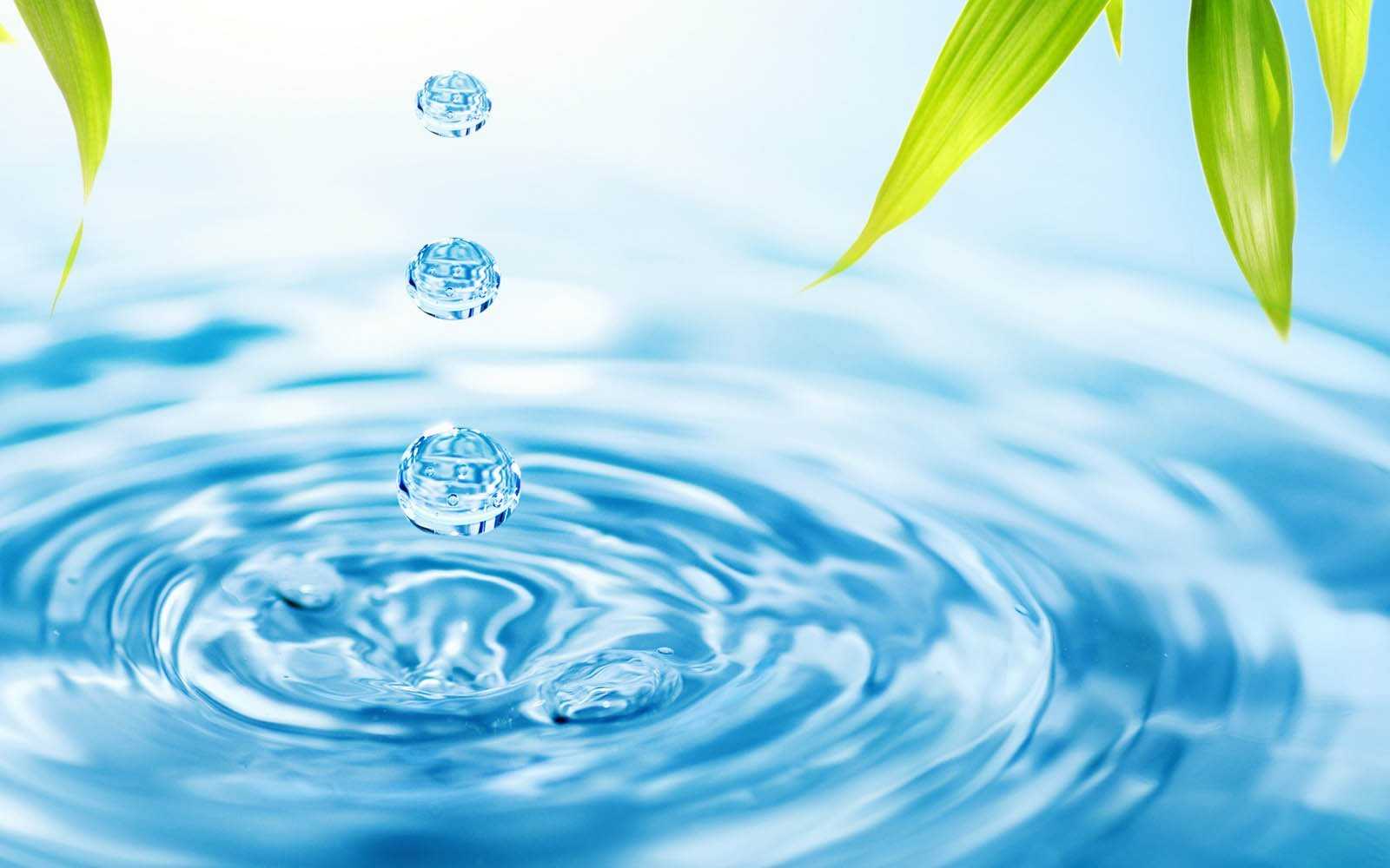 Сохранение воды – глобальная проблема человечества