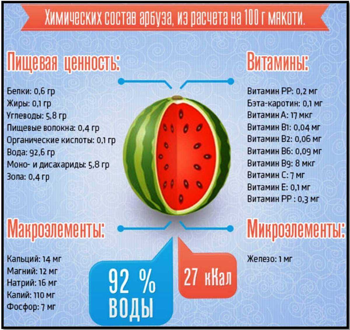 Какие фрукты и ягоды можно собакам