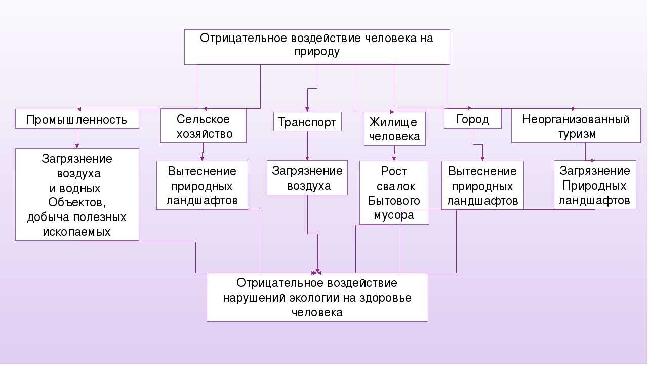 Неживая природа - это... определение, особенности и отзывы