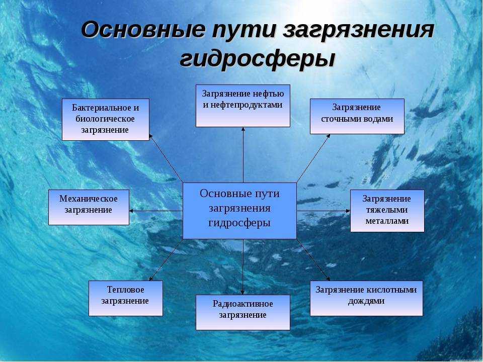 Загрязнение пресных вод: каковы последствия, пути решения проблемы, как происходит охрана озер и рек