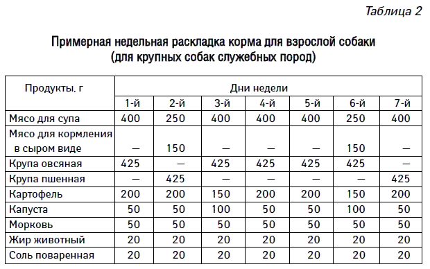 Как сцедить у собаки молоко: советы ветеринаров - truehunter.ru