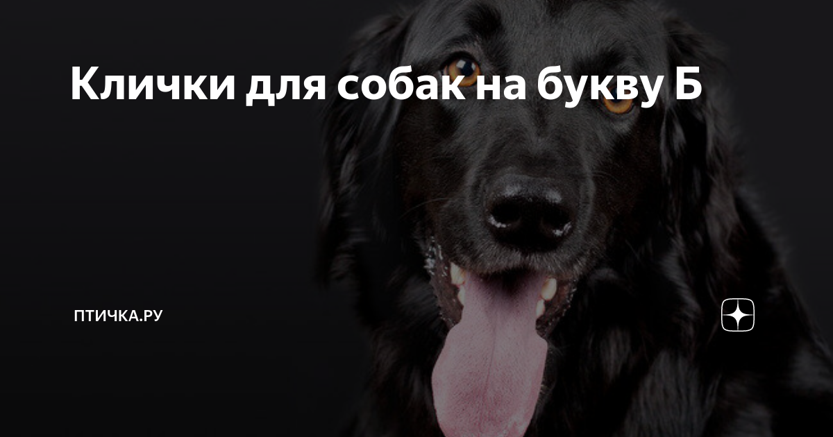 Красивые имена для собак девочек