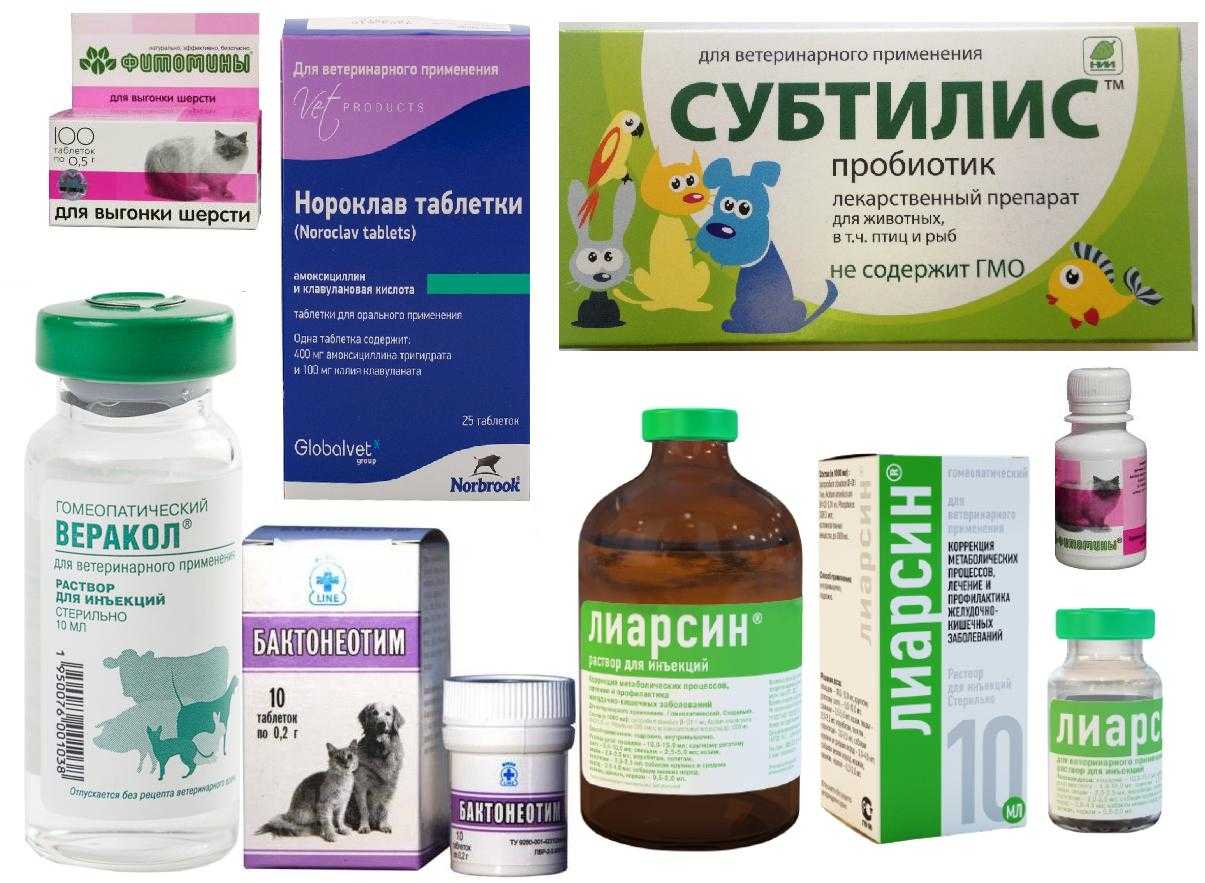 Артрогликан для собак: описание, показания, способ применения