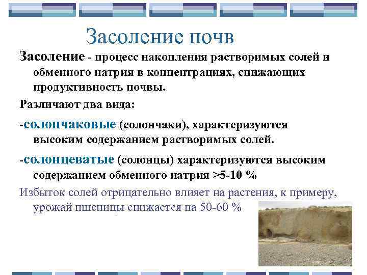 Засоление почв. засоление почв происходит из за. - uhistory.ru