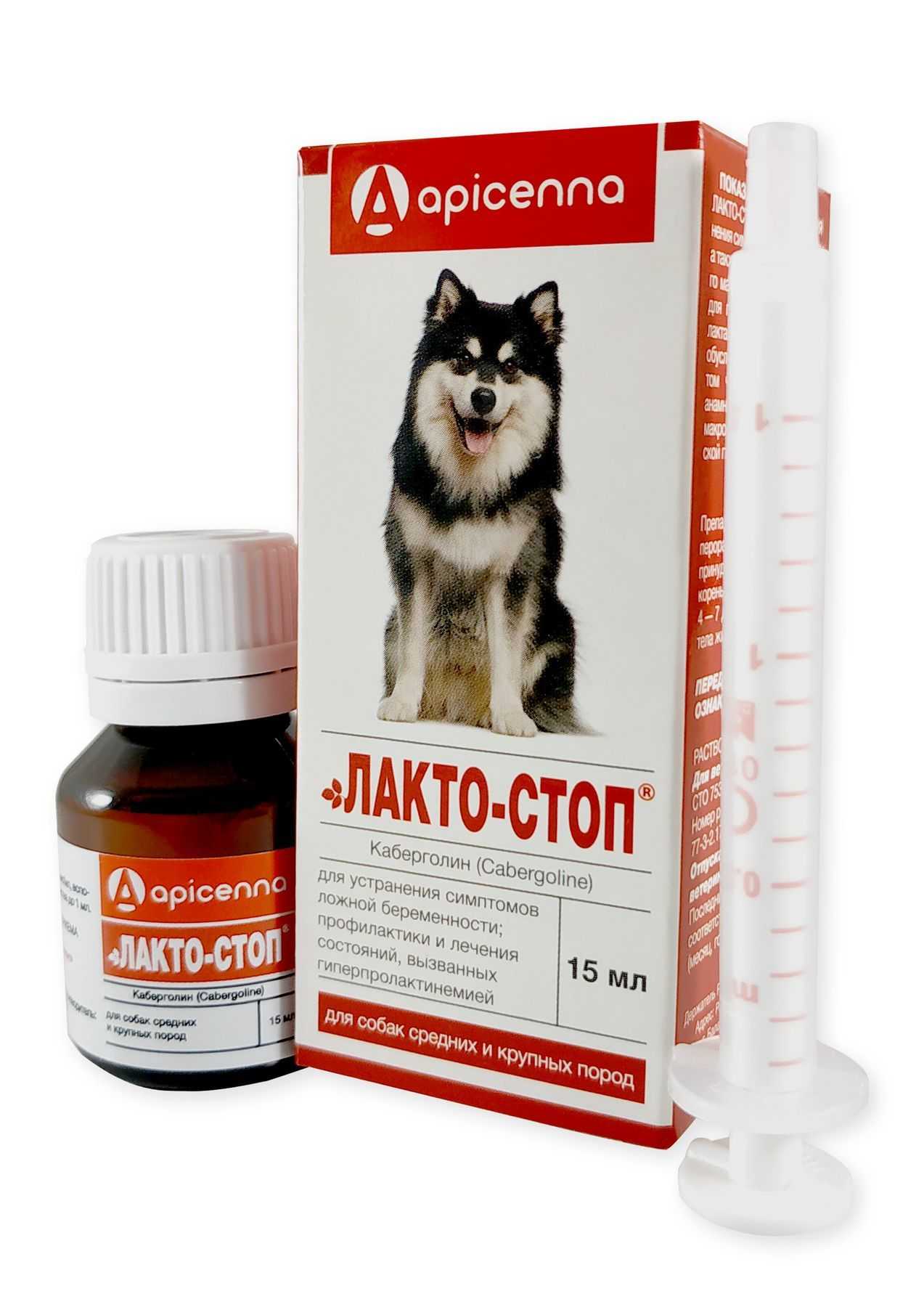 От мнимой щенности избавит галастоп для собак