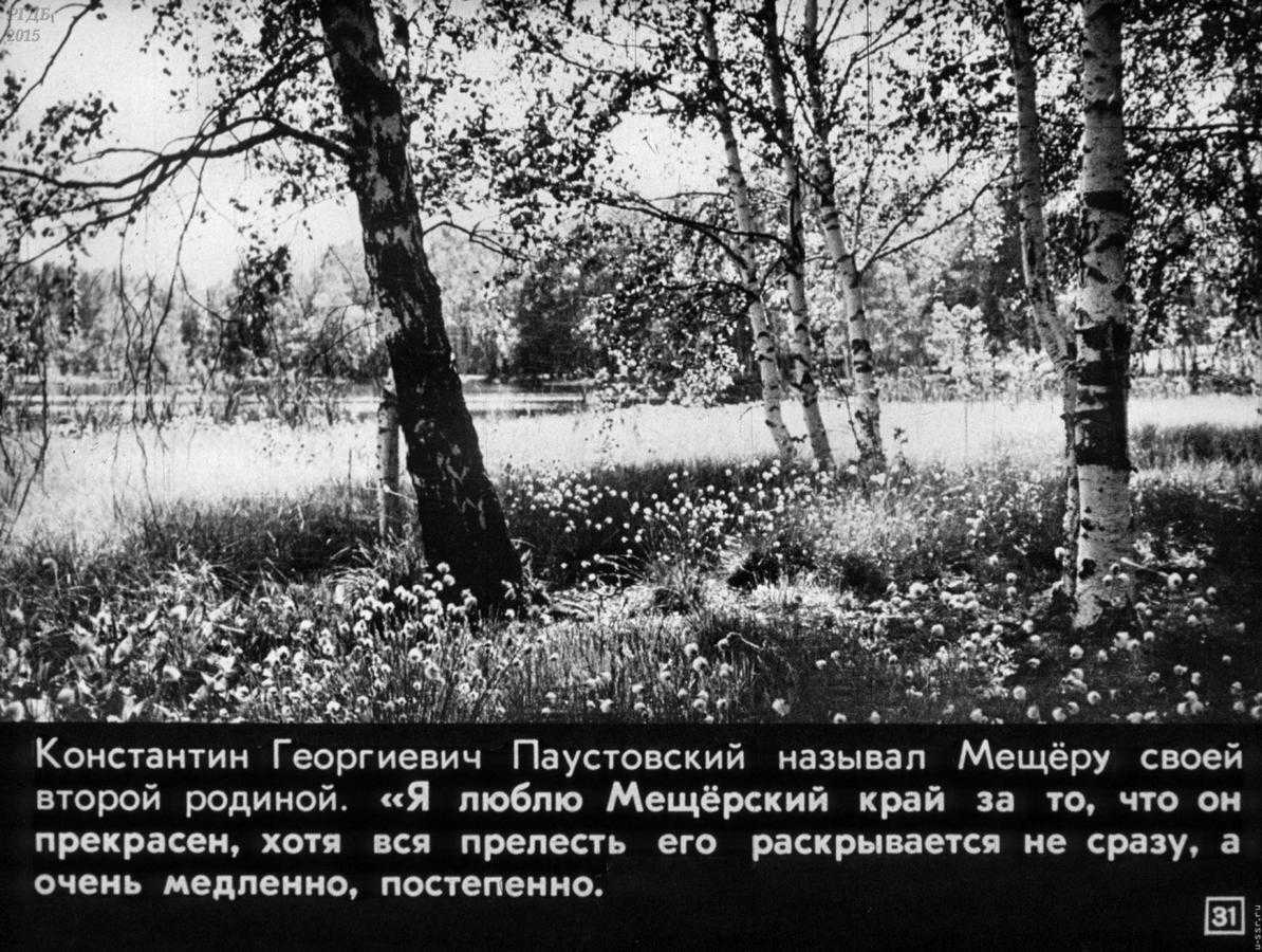 Окружающий мир