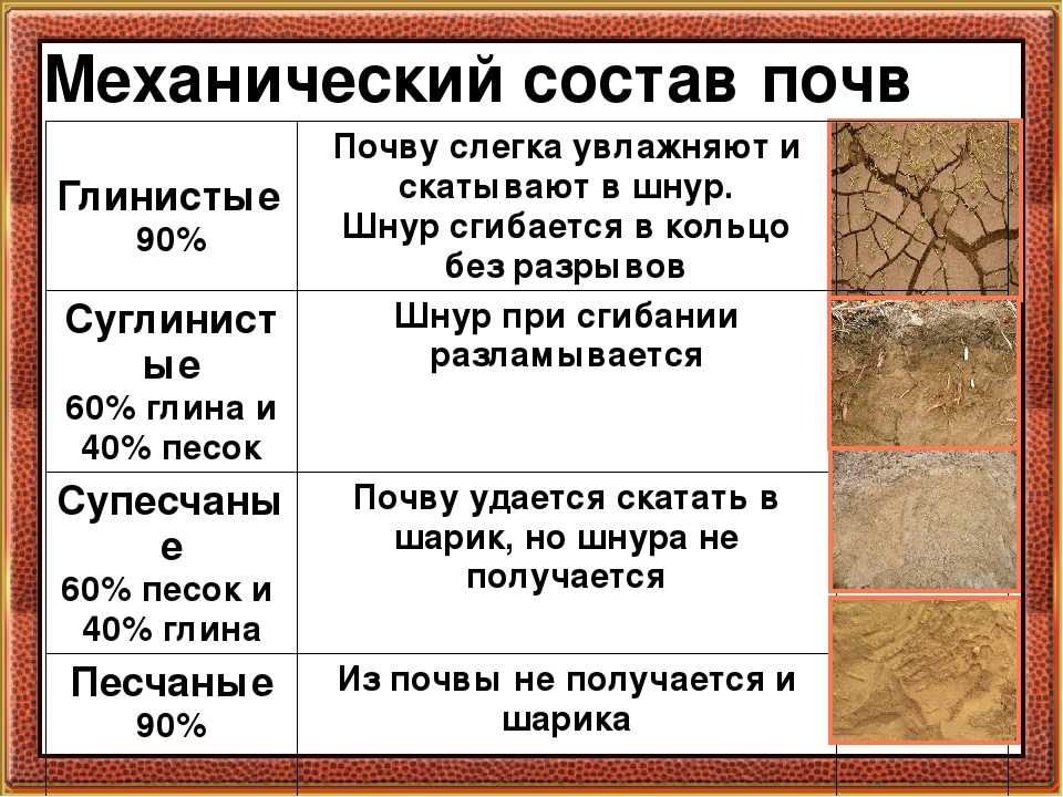 Плодородные почвы россии