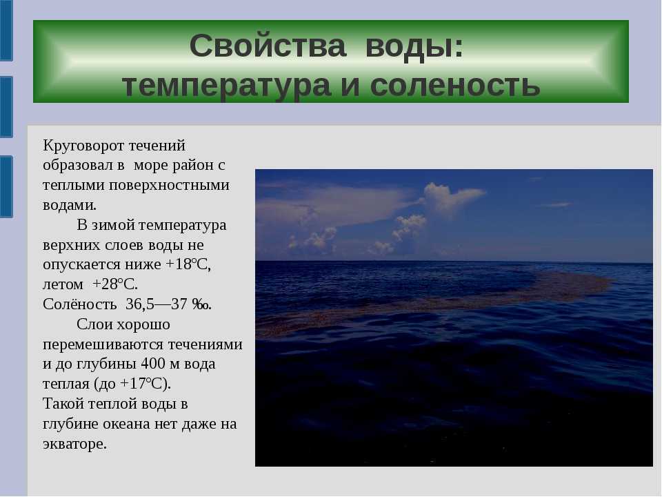 Экологические проблемы морей россии и пути их решения кратко в таблице. 8 класс.