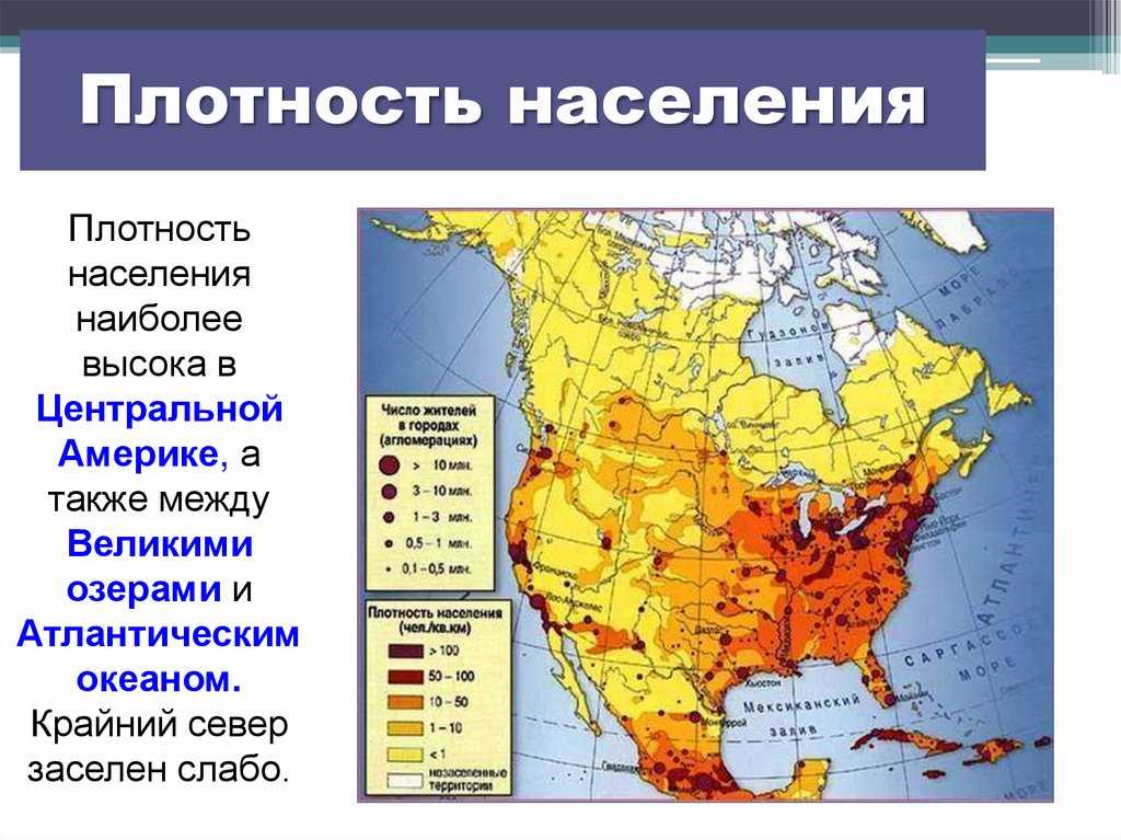 Население северной америки