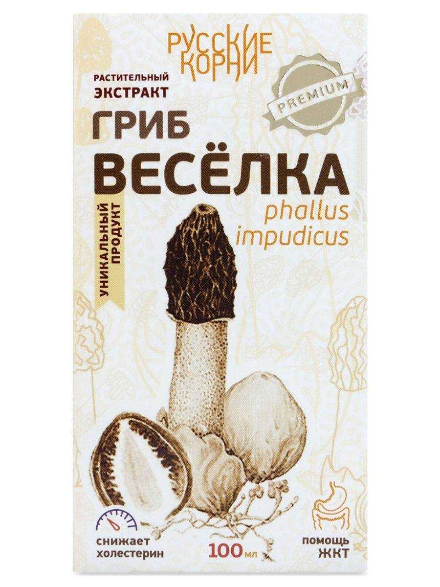 Гриб веселка – свойства, настойка, рецепты