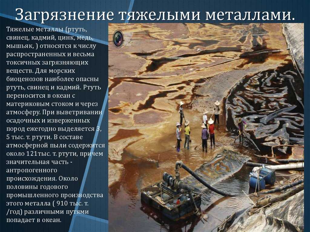 Что такое загрязнение почвы: причины, последствия, пути решения | рбк тренды