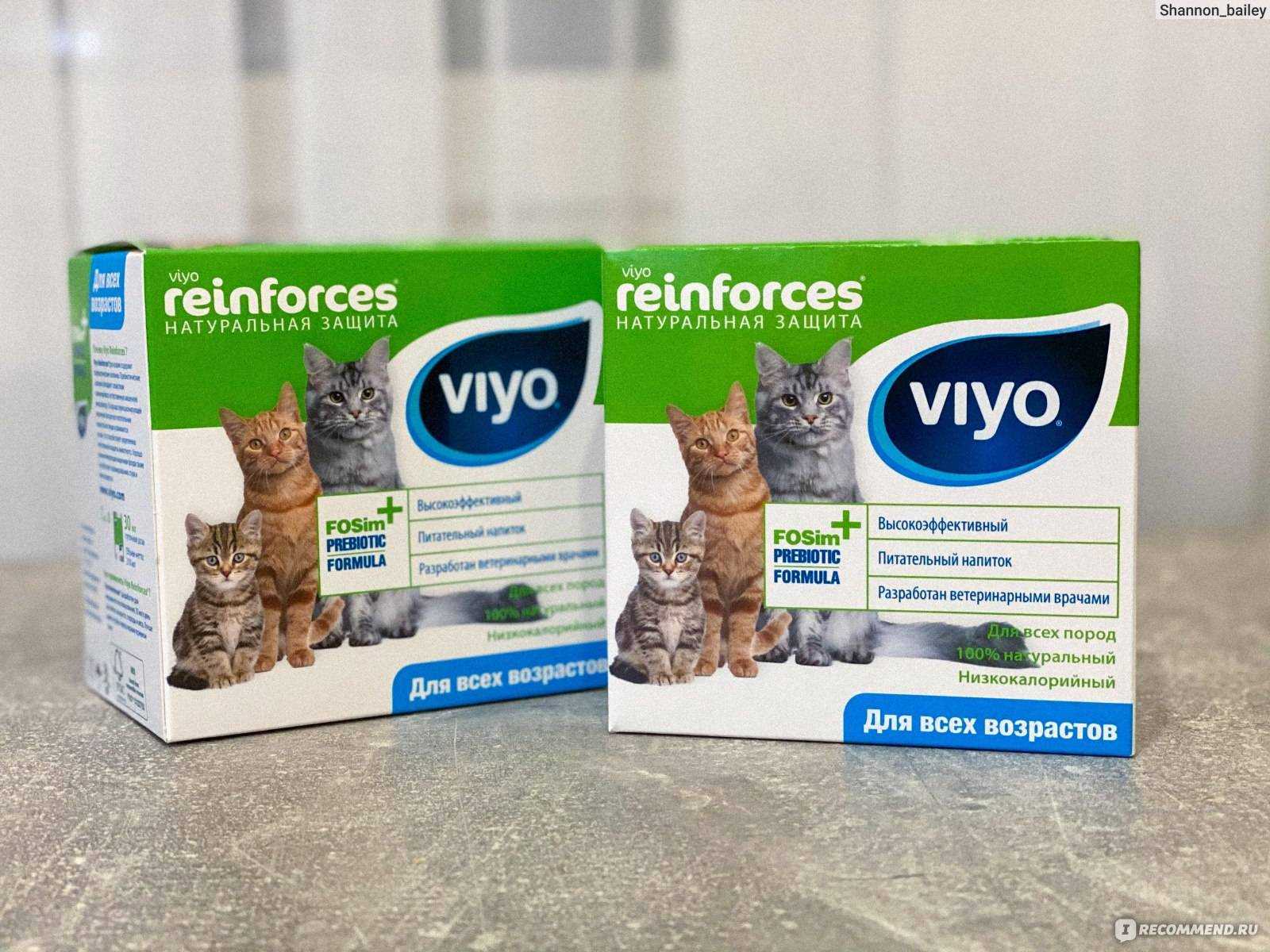 Пребиотик viyo: быстрое восстановление микрофлоры жкт у кошки