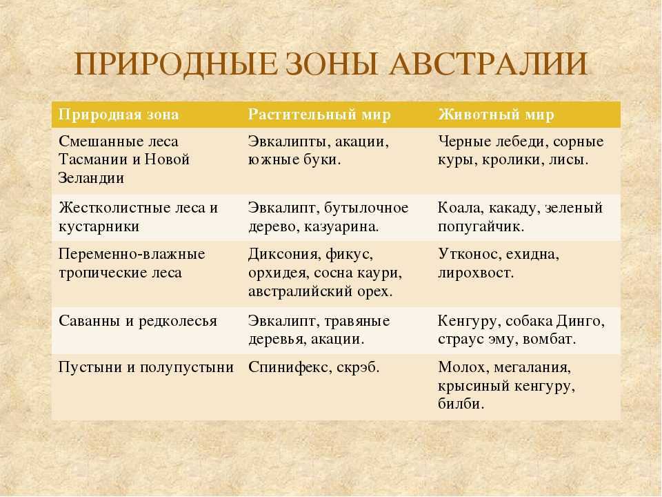 Эвкалипт - гость из австралии