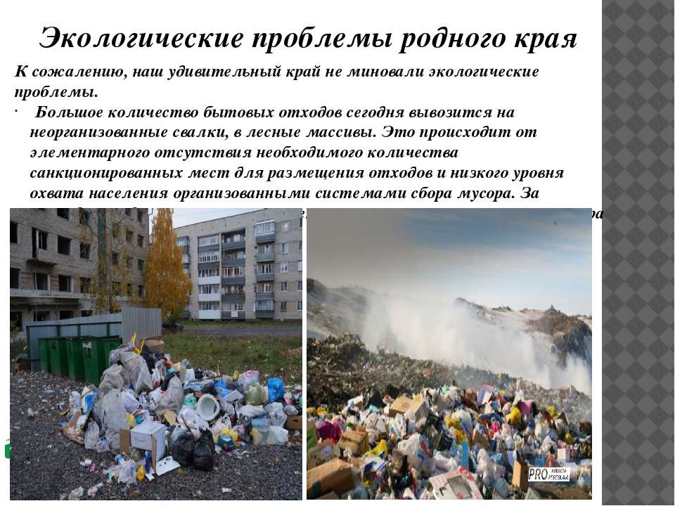 Реферат на тему "экологические проблемы республики беларусь" скачать бесплатно