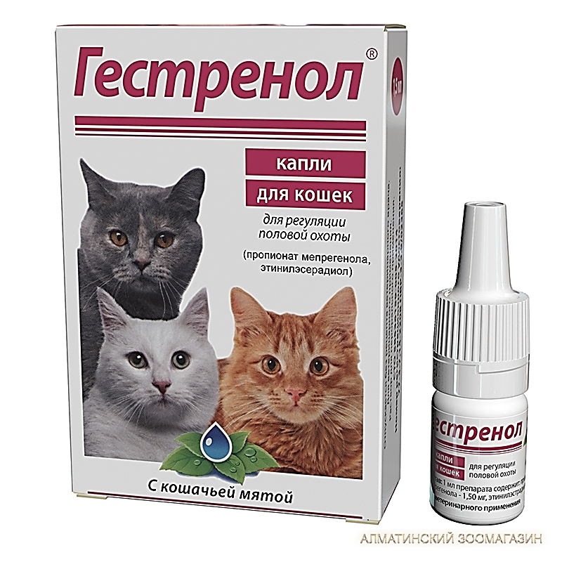 Почему у котёнка гноятся глаза