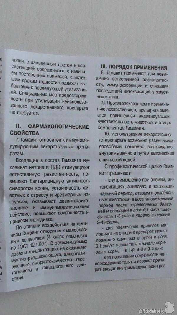 «гамавит» для собак: инструкция по применению