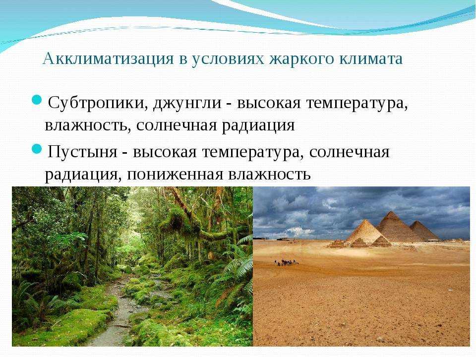 Какие страны против насекомых