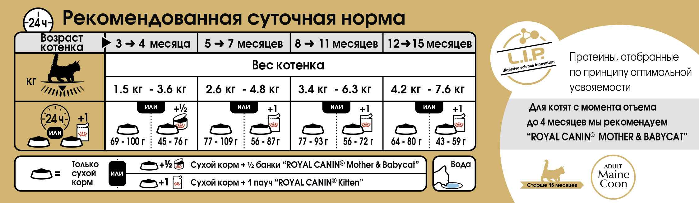 Нормы корма для кошек: сколько корма нужно кошке