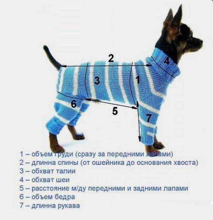 Как правильно вязать комбинезон собаке
