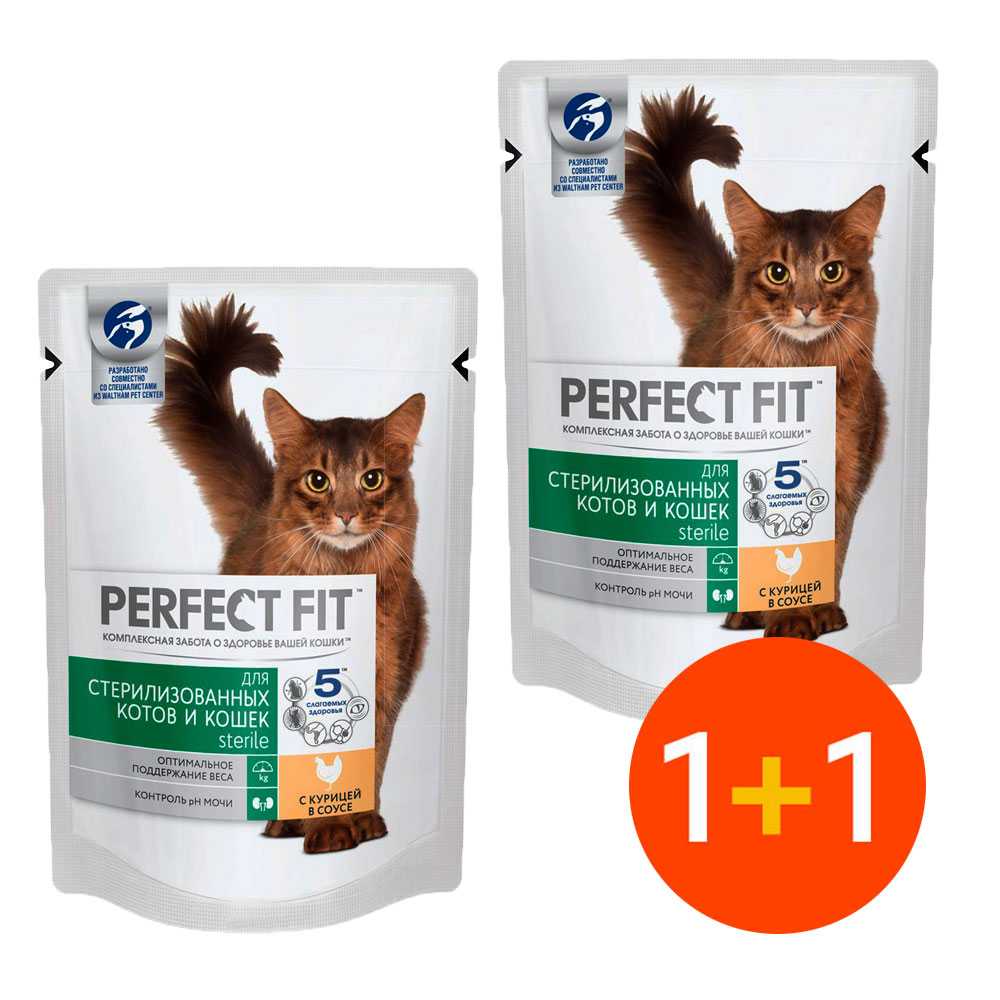 Честный обзор сухих и влажных кормов от perfect fit для котов и котят
