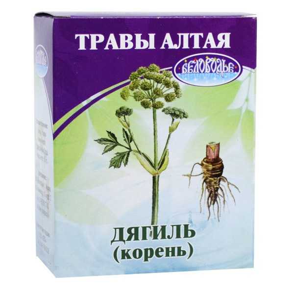 Дягиль лекарственный – описание, свойства и применение