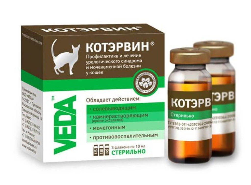 Обезболивающее для кошек — обзор препаратов, виды анальгетиков