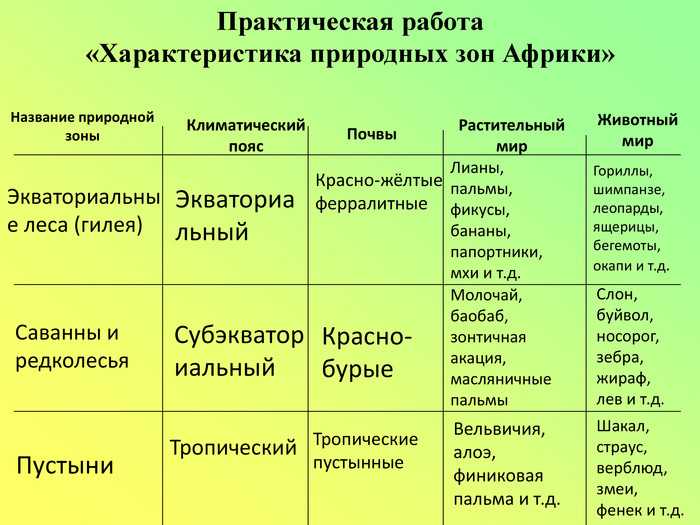Животные саванны - фото, описание, список обитателей